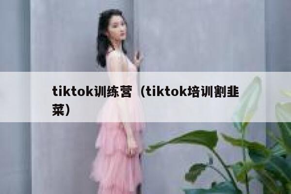 tiktok训练营（tiktok培训割韭菜） 第1张