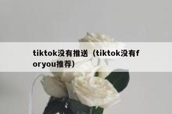 tiktok没有推送（tiktok没有foryou推荐） 第1张