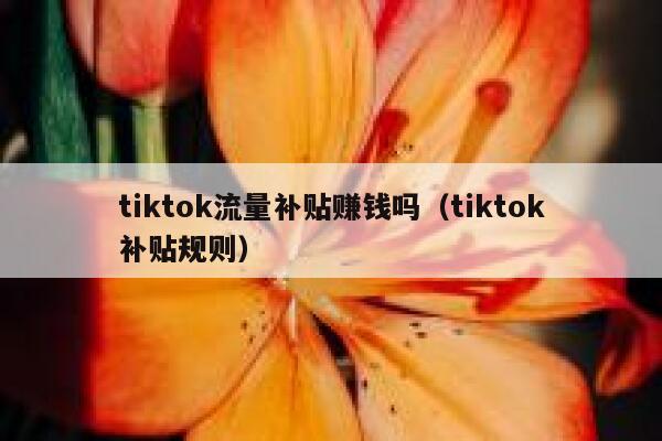 tiktok流量补贴赚钱吗(tiktok补贴规则) 第1张 tiktok流量补贴赚钱吗(tiktok补贴规则) 第1张