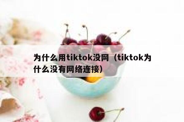 为什么用tiktok没网(tiktok为什么没有网络连接) 第1张 为什么用tiktok没网(tiktok为什么没有网络连接) 第1张