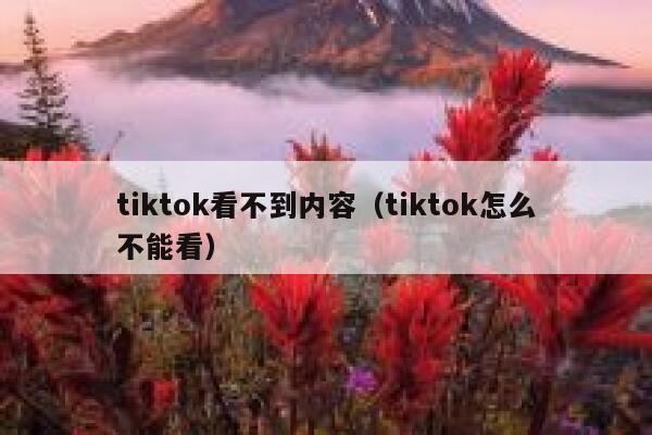 tiktok看不到内容(tiktok怎么不能看) 第1张 tiktok看不到内容(tiktok怎么不能看) 第1张
