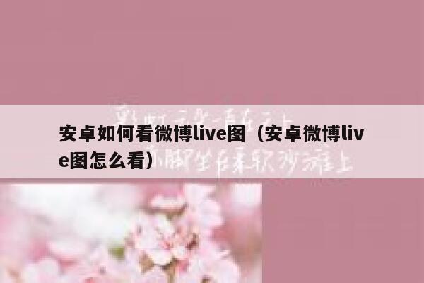 安卓如何看微博live图(安卓微博live图怎么看) 第1张 安卓如何看微博live图(安卓微博live图怎么看) 第1张