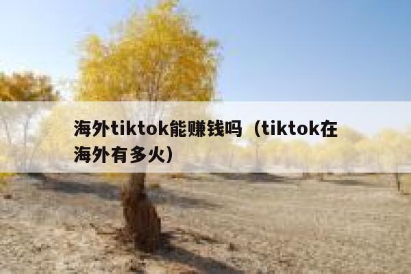 海外tiktok能赚钱吗（tiktok在海外有多火） 第1张