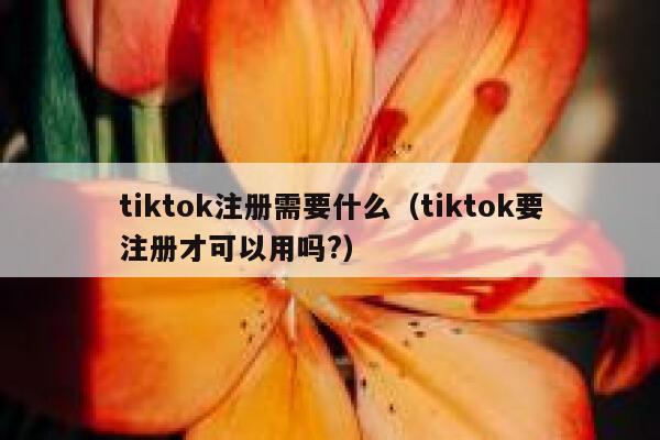 tiktok注册需要什么（tiktok要注册才可以用吗?） 第1张