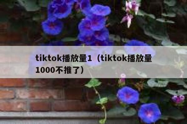 tiktok播放量1(tiktok播放量1000不推了) 第1张 tiktok播放量1(tiktok播放量1000不推了) 第1张