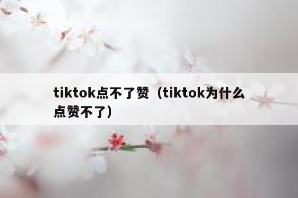 tiktok点不了赞（tiktok为什么点赞不了） 第1张