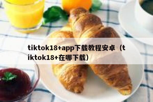 tiktok18+app下载教程安卓（tiktok18+在哪下载） 第1张