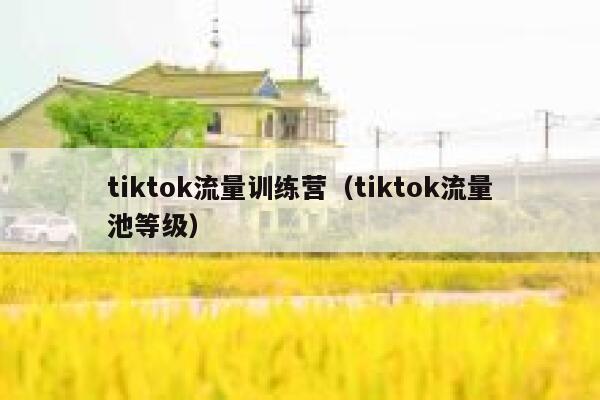 tiktok流量训练营(tiktok流量池等级) 第1张 tiktok流量训练营(tiktok流量池等级) 第1张
