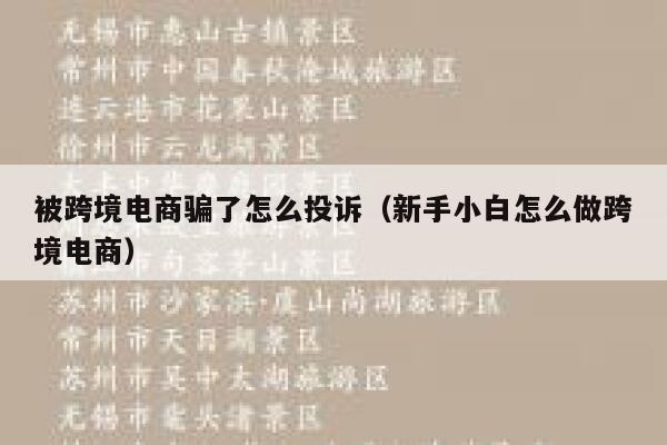 被跨境电商骗了怎么投诉（新手小白怎么做跨境电商） 第1张
