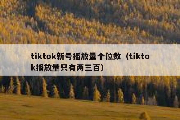 tiktok新号播放量个位数（tiktok播放量只有两三百） 第1张
