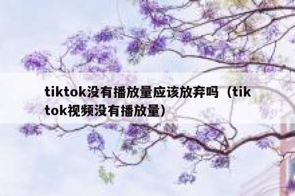 tiktok没有播放量应该放弃吗(tiktok视频没有播放量) 第1张 tiktok没有播放量应该放弃吗(tiktok视频没有播放量) 第1张