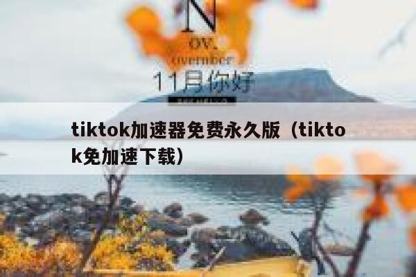 tiktok加速器免费永久版（tiktok免加速下载） 第1张