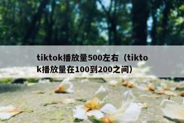 tiktok播放量500左右（tiktok播放量在100到200之间） 第1张