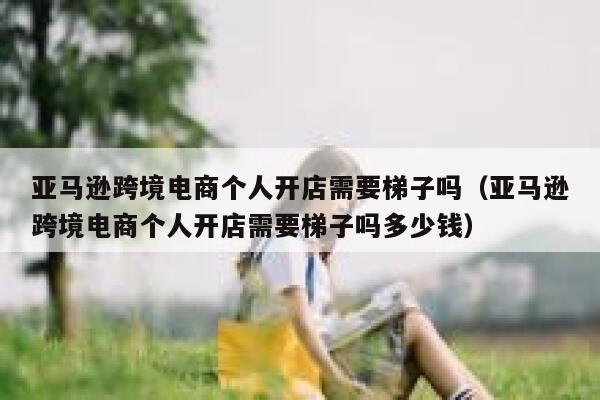 亚马逊跨境电商个人开店需要梯子吗（亚马逊跨境电商个人开店需要梯子吗多少钱） 第1张