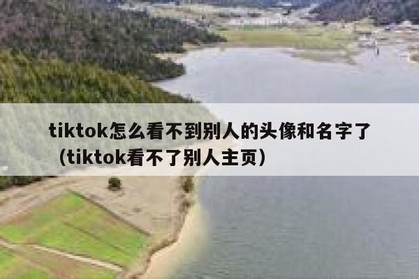 tiktok怎么看不到别人的头像和名字了(tiktok看不了别人主页) 第1张 tiktok怎么看不到别人的头像和名字了(tiktok看不了别人主页) 第1张