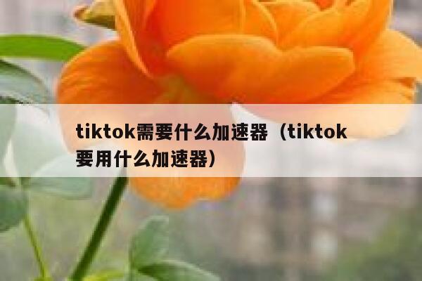 tiktok需要什么加速器（tiktok要用什么加速器） 第1张