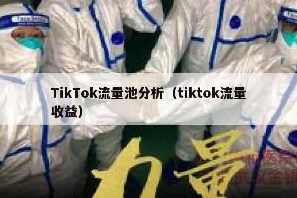 TikTok流量池分析（tiktok流量收益） 第1张