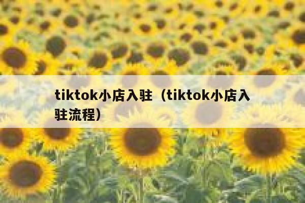 tiktok小店入驻(tiktok小店入驻流程) 第1张 tiktok小店入驻(tiktok小店入驻流程) 第1张