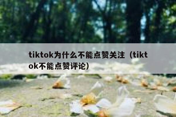 tiktok为什么不能点赞关注（tiktok不能点赞评论） 第1张