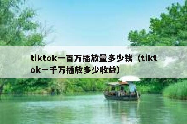 tiktok一百万播放量多少钱（tiktok一千万播放多少收益） 第1张
