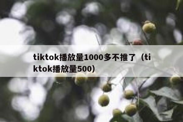 tiktok播放量1000多不推了（tiktok播放量500） 第1张