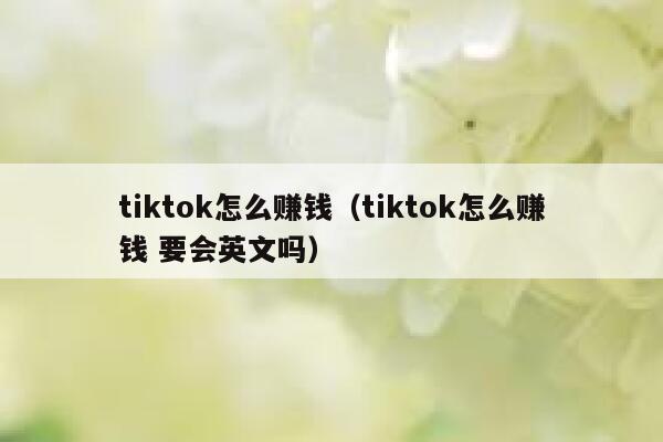 tiktok怎么赚钱（tiktok怎么赚钱 要会英文吗） 第1张