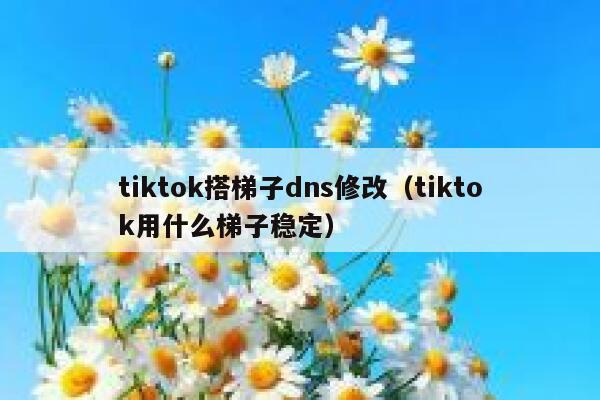 tiktok搭梯子dns修改（tiktok用什么梯子稳定） 第1张