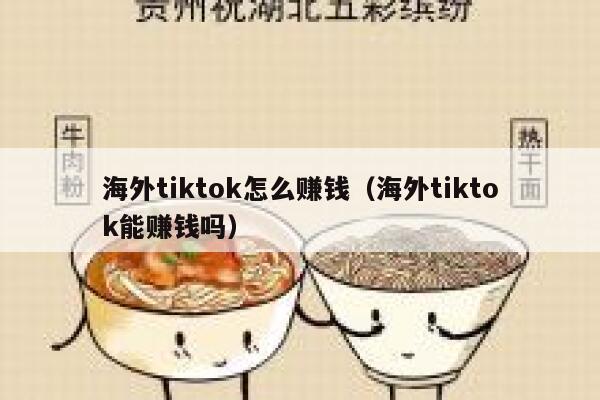 海外tiktok怎么赚钱（海外tiktok能赚钱吗） 第1张
