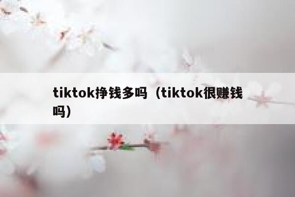 tiktok挣钱多吗（tiktok很赚钱吗） 第1张