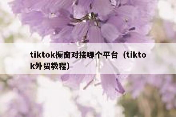 tiktok橱窗对接哪个平台（tiktok外贸教程） 第1张