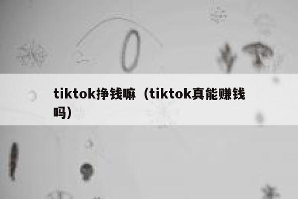 tiktok挣钱嘛(tiktok真能赚钱吗) 第1张 tiktok挣钱嘛(tiktok真能赚钱吗) 第1张