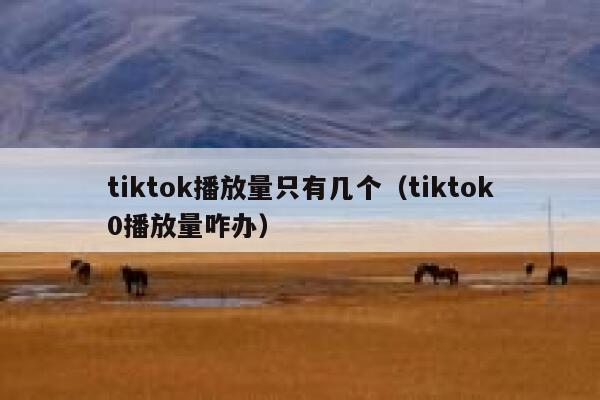 tiktok播放量只有几个（tiktok0播放量咋办） 第1张