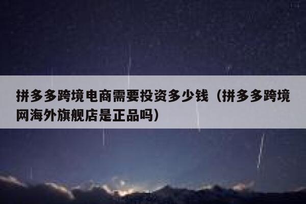 拼多多跨境电商需要投资多少钱（拼多多跨境网海外旗舰店是正品吗） 第1张