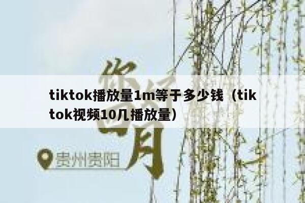tiktok播放量1m等于多少钱（tiktok视频10几播放量） 第1张