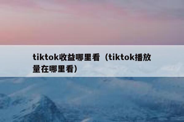 tiktok收益哪里看(tiktok播放量在哪里看) 第1张 tiktok收益哪里看(tiktok播放量在哪里看) 第1张