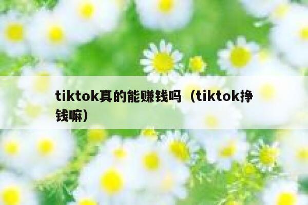 tiktok真的能赚钱吗（tiktok挣钱嘛） 第1张