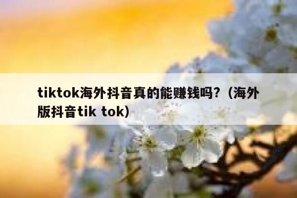 tiktok海外抖音真的能赚钱吗?(海外版抖音tik tok) 第1张 tiktok海外抖音真的能赚钱吗?(海外版抖音tik tok) 第1张