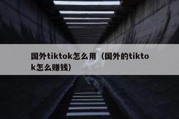国外tiktok怎么用（国外的tiktok怎么赚钱） 第1张