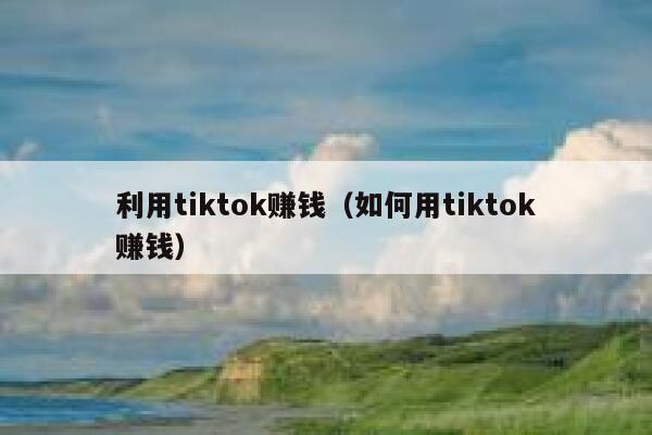 利用tiktok赚钱（如何用tiktok赚钱） 第1张