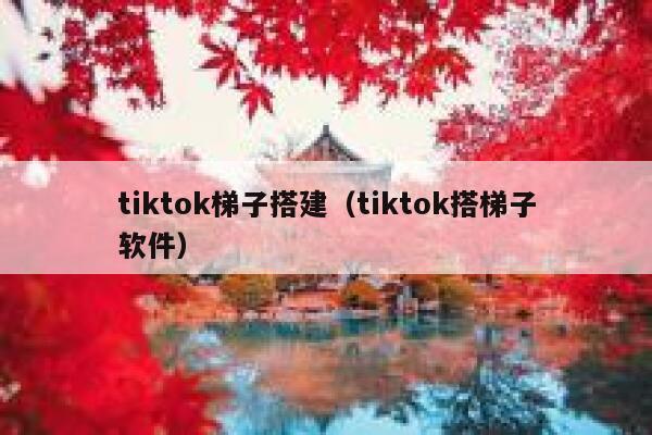 tiktok梯子搭建（tiktok搭梯子软件） 第1张