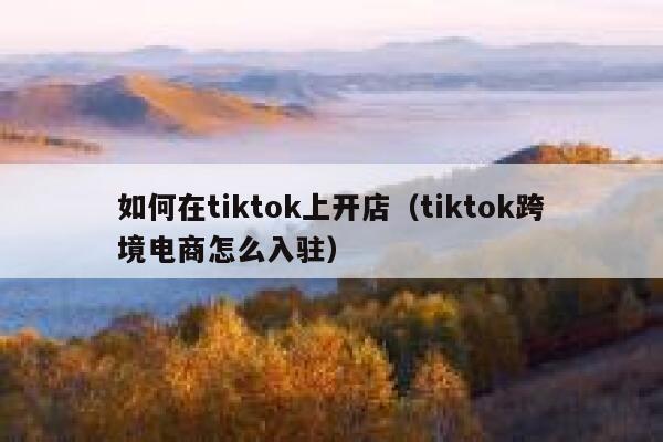 如何在tiktok上开店（tiktok跨境电商怎么入驻） 第1张