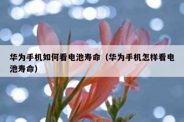 华为手机如何看电池寿命（华为手机怎样看电池寿命） 第1张