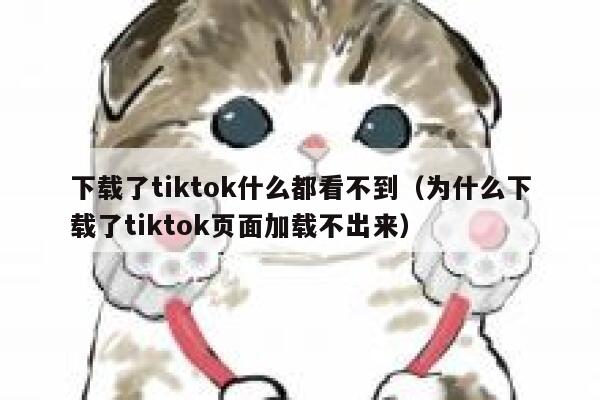 下载了tiktok什么都看不到（为什么下载了tiktok页面加载不出来） 第1张