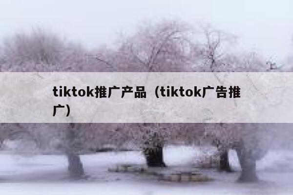 tiktok推广产品（tiktok广告推广） 第1张