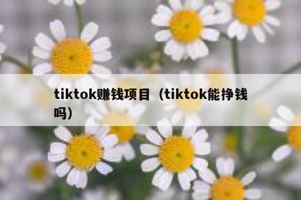 tiktok赚钱项目（tiktok能挣钱吗） 第1张