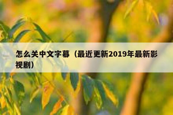 怎么关中文字幕（最近更新2019年最新影视剧） 第1张