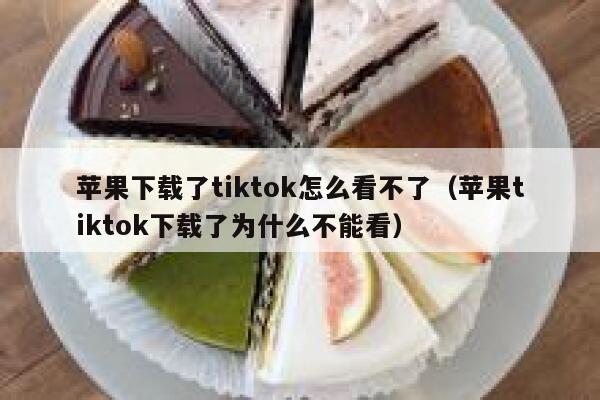 苹果下载了tiktok怎么看不了（苹果tiktok下载了为什么不能看） 第1张