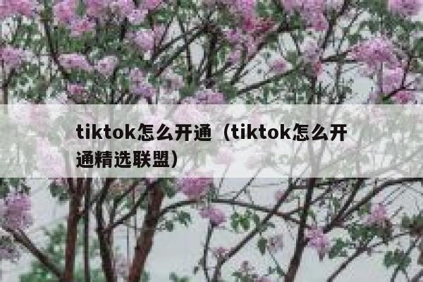 tiktok怎么开通（tiktok怎么开通精选联盟） 第1张