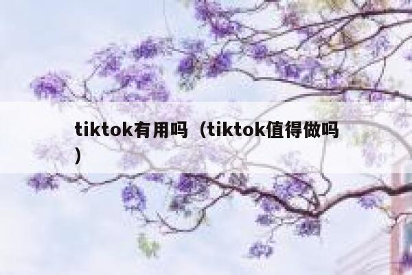 tiktok有用吗（tiktok值得做吗） 第1张