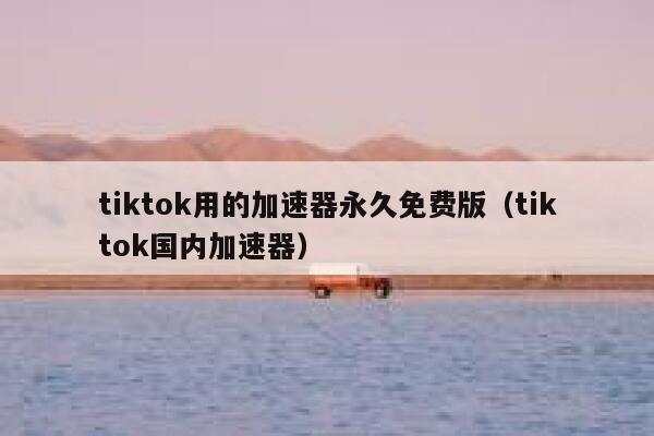 tiktok用的加速器永久免费版（tiktok国内加速器） 第1张